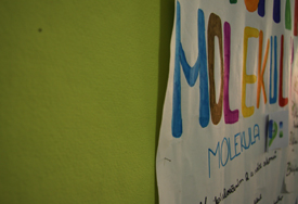 Header picture